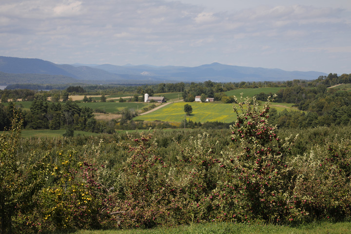 Champlain Orchards upgrades inventory management system