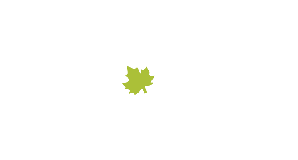 CCV