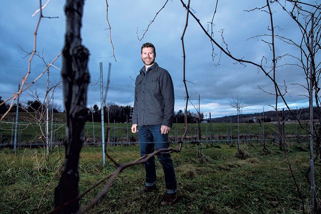 A man stands in the middle of a vinyard