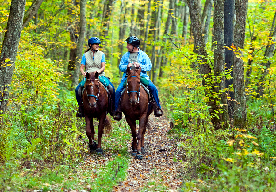 Horseback riding in Addison County