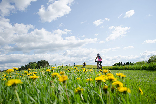 Here’s How to Find an Outdoor Job in Vermont