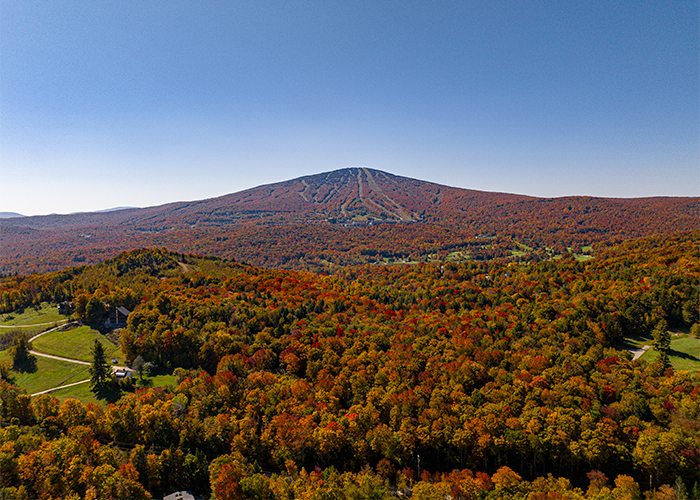Get to Know Vermont Forester Andrew Hirsch
